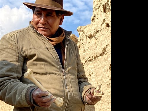 A community leader of Culli Culli shows researchers how easily human remains may be found within a cultural preservation center encompassing a 1,000-year-old burial ground for wealthy Aymara ancestors