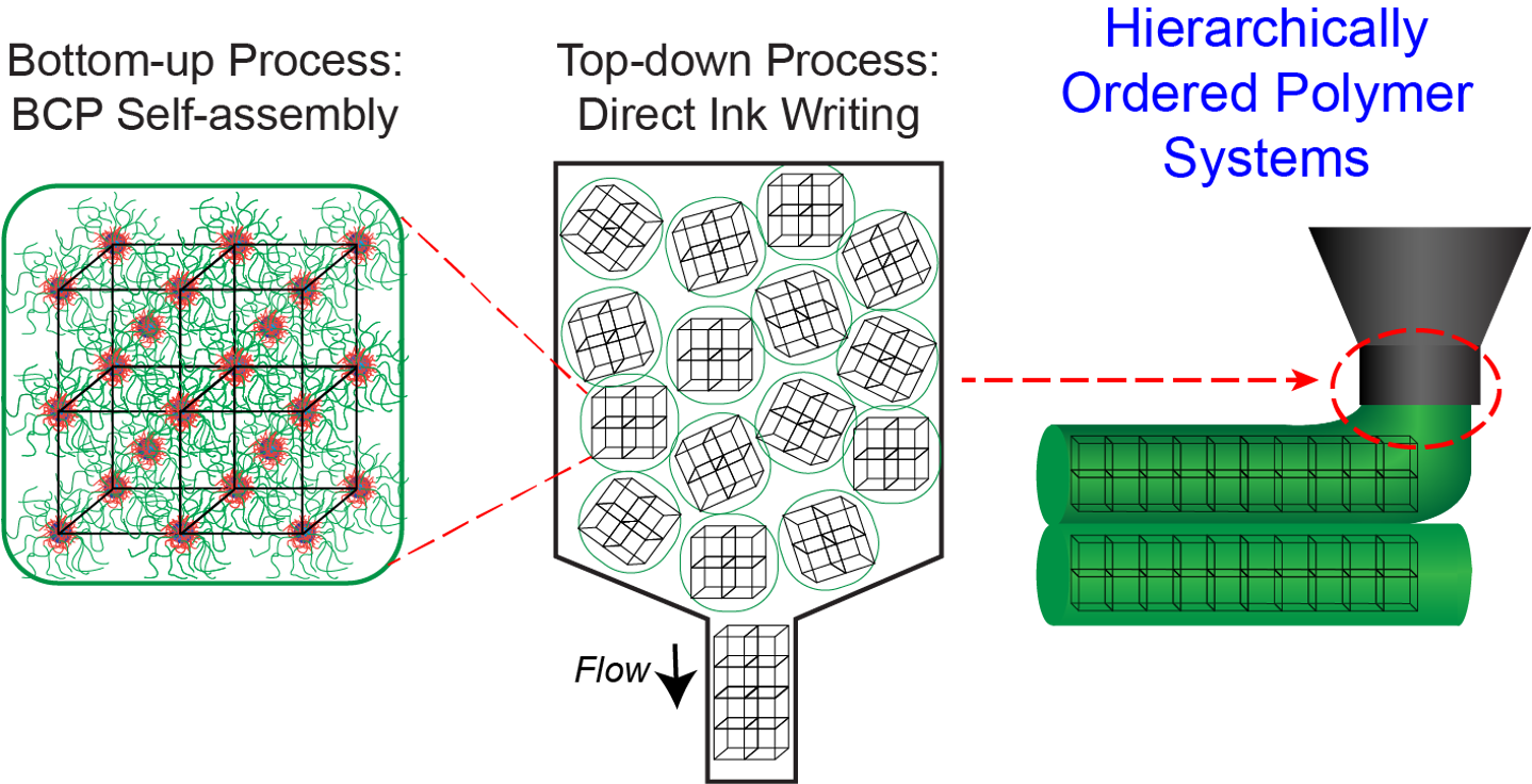 Hierarchically Structured Epoxy Blends