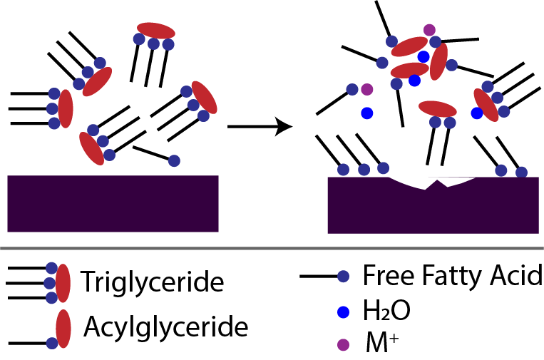 Mechanism Notes