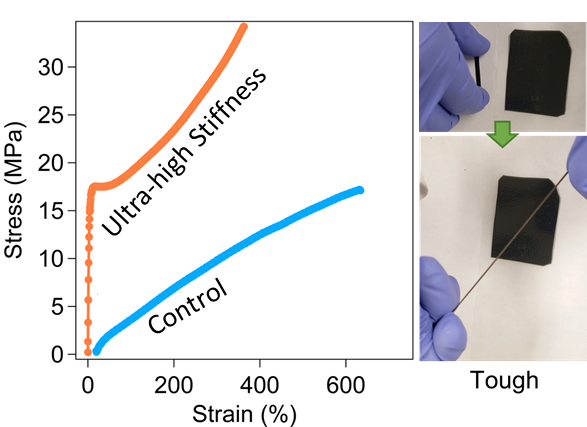 Sustainable Plastics and Composites