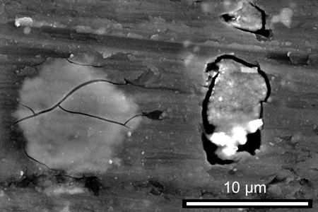 Aluminum alloy 2024 treated by Zr-based conversion coating